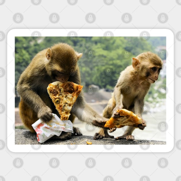 Pizza Lover Monkey Pizza take-away Sticker by PlanetMonkey